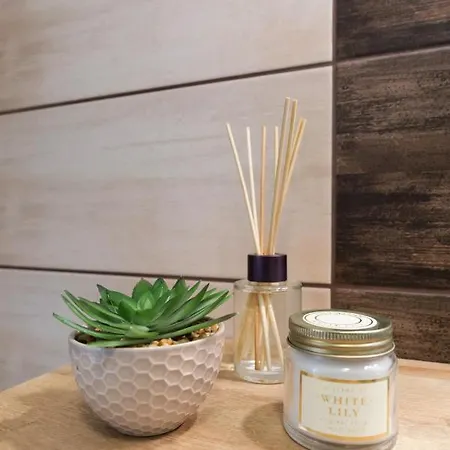 아파트 Eclectic Luxury & Spacious 2br Ac In Center